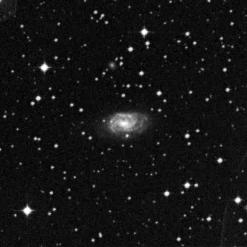 NGC 5011A
