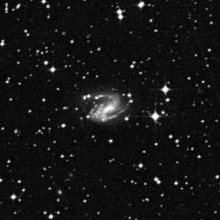 NGC 3318B